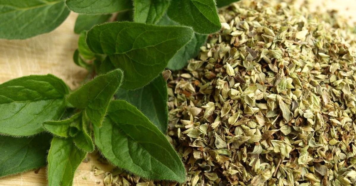 5 mód, ahogy az oregánó támogatja a vérnyomásod - Fitoterápiás szemmel a konyhakerted szupernövénye