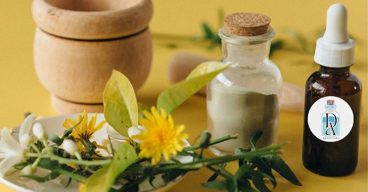 Gyermekláncfű – A természet apró napocskája, ami a bőrödnek is jót tesz